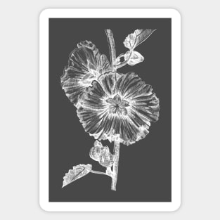 Ink - Hollyhock Variation 2 Sticker